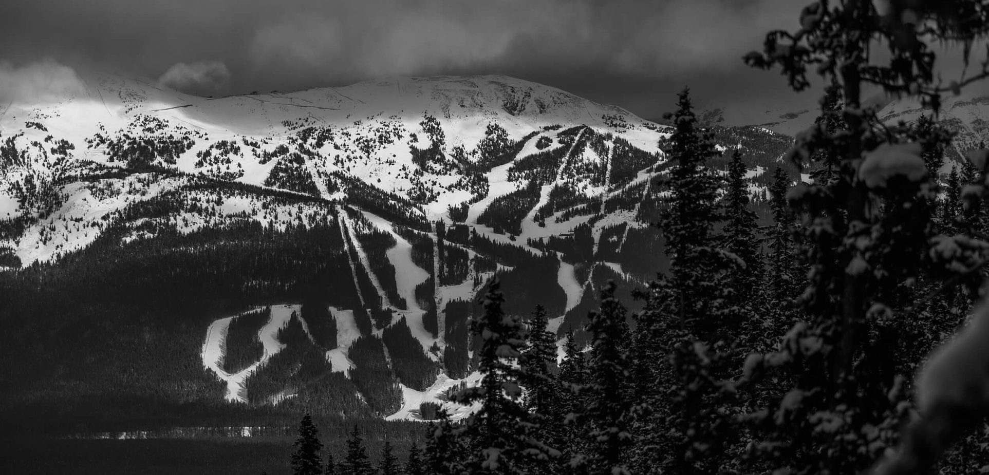 Mountain ski trails seen from the Fairview Lookout in Lake Louise.