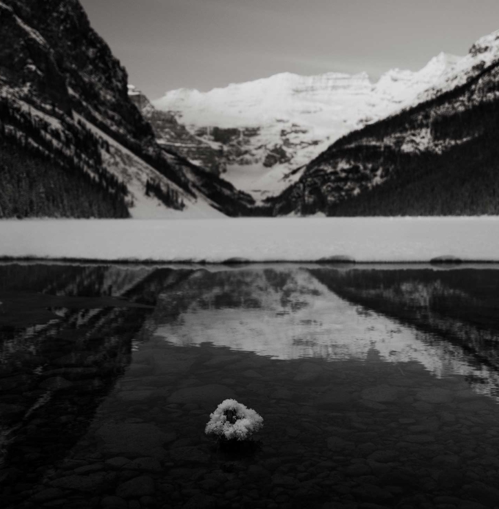Black and white view of Lake Louise, Canada, from shoreline